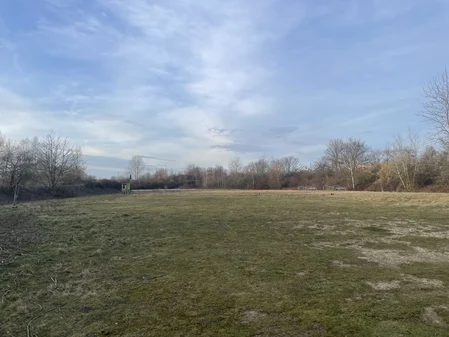 die Wiese auf der wir campen und feiern